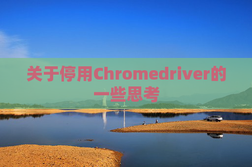 关于停用Chromedriver的一些思考